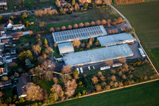 Biokonditorei Löwenzahn; Polstermöbel Lagerverkauf in Gommersheim im Bundesland Rheinland-Pfalz, Deutschland