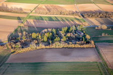 Kleinod im Park an der Dierbacherstr in Vollmersweiler im Bundesland Rheinland-Pfalz, Deutschland