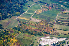 Wissembourg, Sonnenberg nach Schweigen im Bundesland Bas-Rhin, Frankreich