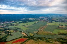 Münchenberg im Ortsteil Stecklenberg in Thale im Bundesland Sachsen-Anhalt, Deutschland