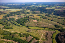 Reste des Borkenkäferwalds und Aufforstungen im Ortsteil Dankerode in Harzgerode im Bundesland Sachsen-Anhalt, Deutschland