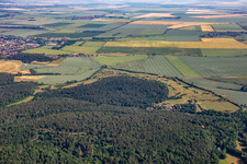 Golfclub Schloß Meisdorf e.V in Falkenstein im Bundesland Sachsen-Anhalt, Deutschland