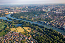 Waldpark in der Rheinschleife im Ortsteil Niederfeld in Mannheim im Bundesland Baden-Württemberg, Deutschland