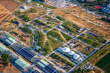 EXPERIMENTIERFELD auf dem Spinelli-Park der Bundesgartenschau Mannheim BUGA 2023 im Ortsteil Käfertal im Bundesland Baden-Württemberg, Deutschland