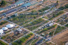EXPERIMENTIERFELD im Spinelli-Park der Bundesgartenschau Mannheim BUGA 2023 im Ortsteil Feudenheim im Bundesland Baden-Württemberg, Deutschland