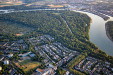Reißinsel, Naturschutzgebiet in der Rheinschleife im Ortsteil Niederfeld in Mannheim im Bundesland Baden-Württemberg, Deutschland