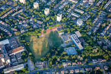 Moll Gymnasium im Ortsteil Niederfeld in Mannheim im Bundesland Baden-Württemberg, Deutschland