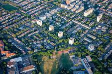 Feldbergstr im Ortsteil Niederfeld in Mannheim im Bundesland Baden-Württemberg, Deutschland