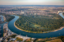 Reißinsel und Waldpark, Naturschutzgebiet in der Rheinschleife von Süden im Ortsteil Niederfeld in Mannheim im Bundesland Baden-Württemberg, Deutschland