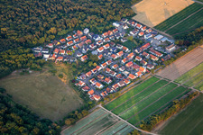 Buchenstr in Schwegenheim im Bundesland Rheinland-Pfalz, Deutschland
