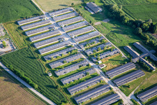 Ehemalige Gewächshäuser mit PV-Anlage und Fahradclub Kolesarski klub perutnina Ptuj, Slowenien