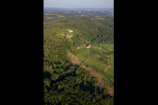 Luftbild von Kirche Župnijska cerkev sv. Marije Vnebovzete und Café Huda Liza über den Weinbergen des Vurberg in Duplek, Slowenien