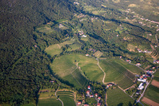 Weinberge in Nova Gorica, Slowenien