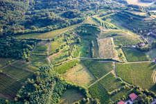 Luftbild von Weinberge in Mossa im Bundesland Gorizia, Italien