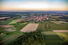 Rossfeld von Osten im Bundesland Bas-Rhin, Frankreich