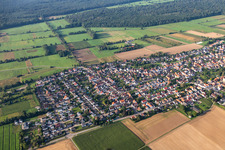 Luftbild von Minfeld von Norden im Bundesland Rheinland-Pfalz, Deutschland