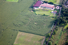 Maislabyrinth Raumbach in Meisenheim im Bundesland Rheinland-Pfalz, Deutschland