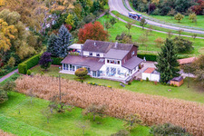 Am Neuburger Altrhein in Neuburg am Rhein im Bundesland Rheinland-Pfalz, Deutschland