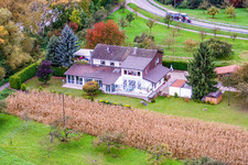 Luftbild von Am Neuburger Altrhein in Neuburg am Rhein im Bundesland Rheinland-Pfalz, Deutschland