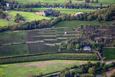 Weingut Disibodenberg KG in Odernheim am Glan im Bundesland Rheinland-Pfalz, Deutschland