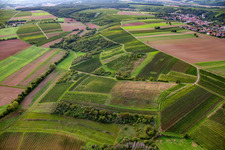 Weinlage Grilerkäppchen überm Hasselbach in Mandel im Bundesland Rheinland-Pfalz, Deutschland