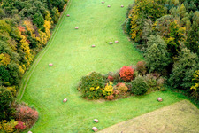Heuballen auf einer Lichtung am herbstlich bunt gefärbten Waldrand in Minfeld in Freckenfeld im Bundesland Rheinland-Pfalz, Deutschland