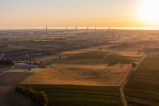 Windpark Freckenfeld von Westen bei Sonnenaufgang in Vollmersweiler im Bundesland Rheinland-Pfalz, Deutschland