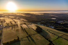 Panorama des Bienwalds bei Sonnenaufgang in Schweighofen im Bundesland Rheinland-Pfalz, Deutschland