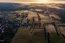 Viehstrich im Morgennebel in Schweighofen im Bundesland Rheinland-Pfalz, Deutschland