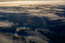 Bienwald im Morgennebel in Schweighofen im Bundesland Rheinland-Pfalz, Deutschland