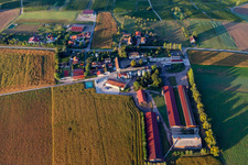 Ferme Schafbusch in Steinseltz im Bundesland Bas-Rhin, Frankreich