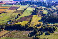 Naturschutzgebiet Billigheimer Bruch von Westen im Ortsteil Mühlhofen in Billigheim-Ingenheim im Bundesland Rheinland-Pfalz, Deutschland