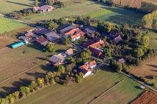 Ham. Oberhof mit   Ma Petite Ferme d'Antan in Hunspach im Bundesland Bas-Rhin, Frankreich