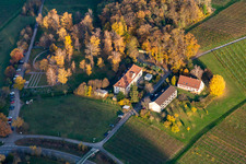 Keschde Buckel und Pflälzische Gedenkstätte Philipp Ehmer für die Opfer der NS-Psychatrie in Klingenmünster im Bundesland Rheinland-Pfalz, Deutschland