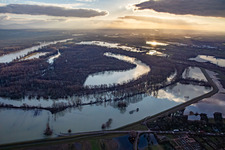 Luftaufnahme von Wegen Hochwasser überflutetes Naturschutzgebiet Goldgrund in der Hagenbacher Altrheinschleife im Ortsteil Maximiliansau in Wörth am Rhein im Bundesland Rheinland-Pfalz, Deutschland