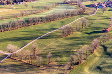 Streuobstwiesen im Winter im Ortsteil Arzbach in Wackersberg im Bundesland Bayern, Deutschland