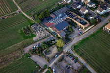 Weingut & Weinstube Marienhof in Flemlingen im Bundesland Rheinland-Pfalz, Deutschland