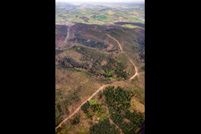 Neuerrichtung des Teilstücks der Trans-Europa-Naturgas-Pipeline (TENP-I zwischen den Niederlanden und der Schweiz) auf 51 km Länge zwischen Mittelbrunn und Klingenmünster im Bundesland Rheinland-Pfalz, Deutschland