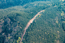 Schneise durch den Pfälzerwald zur Neuerrichtung des Teilstücks der Trans-Europa-Naturgas-Pipeline (TENP-III von den Niederlanden in die Schweiz) auf 51 km Länge zwischen Mittelbrunn und Klingenmünster im Bundesland Rheinland-Pfalz, Deutschland