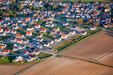 Sonnenblumenweg in Kandel im Bundesland Rheinland-Pfalz, Deutschland