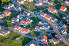 Narzissen- und Veilchenweg in Kandel im Bundesland Rheinland-Pfalz, Deutschland