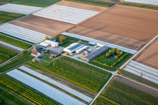 Drohnenaufname von Bauers Garten in Winden im Bundesland Rheinland-Pfalz, Deutschland