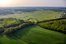 Wiesen am Mittlachgraben am Morgen in Harskirchen im Bundesland Bas-Rhin, Frankreich