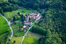 Hofgemeinschaft Josefshof, Gallowway, Freie Bauernhof Waldschule Südpfalz in Völkersweiler im Bundesland Rheinland-Pfalz, Deutschland