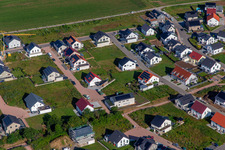 Lavendelweg in Kandel im Bundesland Rheinland-Pfalz, Deutschland