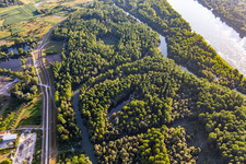 Altrhein bis zur Panzerbrücke in Au am Rhein im Bundesland Baden-Württemberg, Deutschland