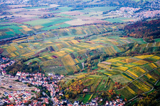 Weinberge Richtung Wiesloch in Rauenberg im Bundesland Baden-Württemberg, Deutschland