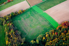 Horrenberg in Zuzenhausen im Bundesland Baden-Württemberg, Deutschland