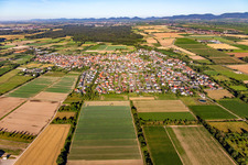Zeiskam von Osten im Bundesland Rheinland-Pfalz, Deutschland