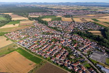 Im Lerchenflug in Kuhardt im Bundesland Rheinland-Pfalz, Deutschland